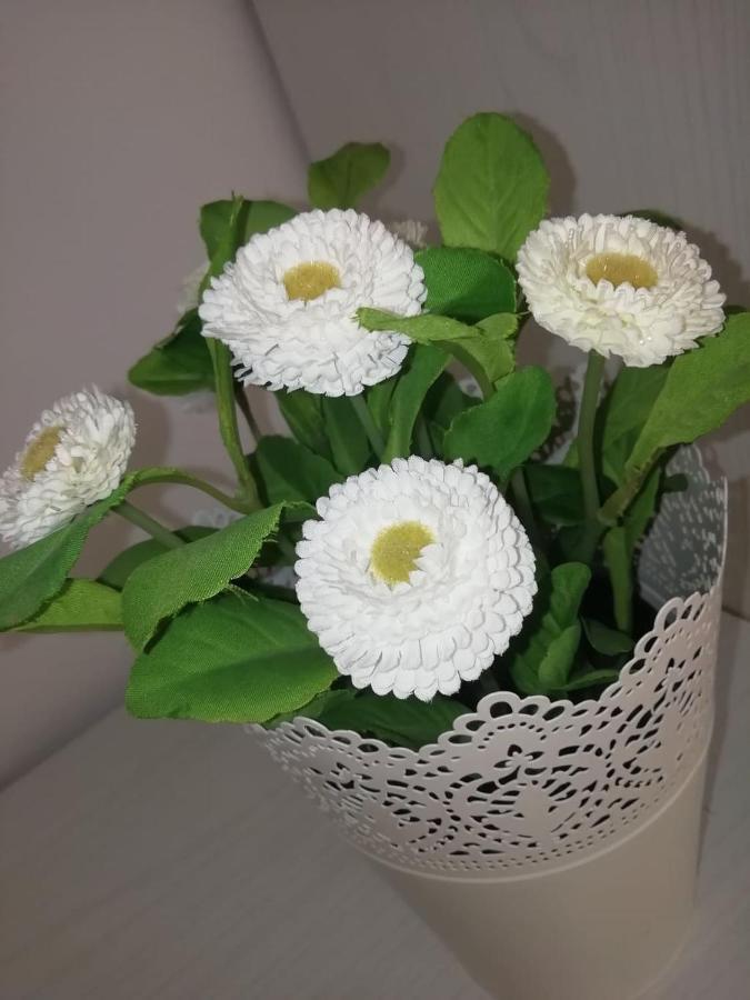 Suite Roma Cefalu Bagian luar foto